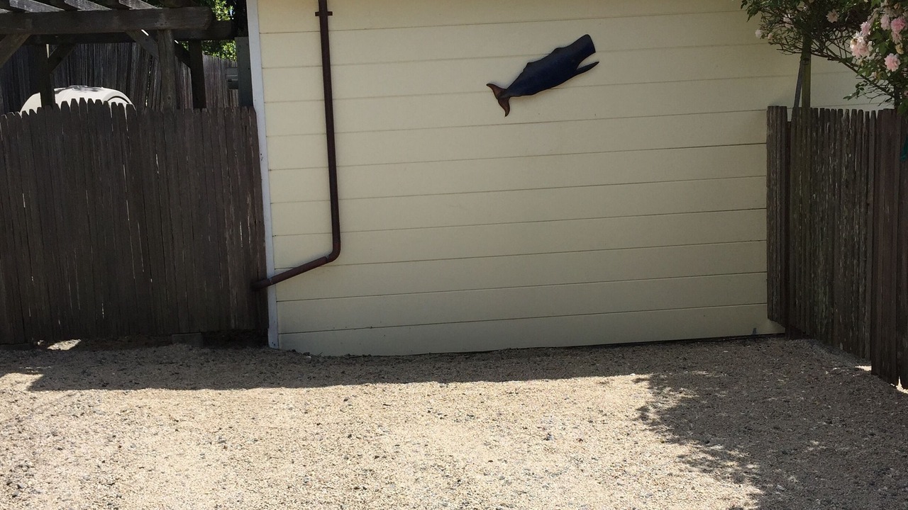 Photo of Others in Stinson Beach