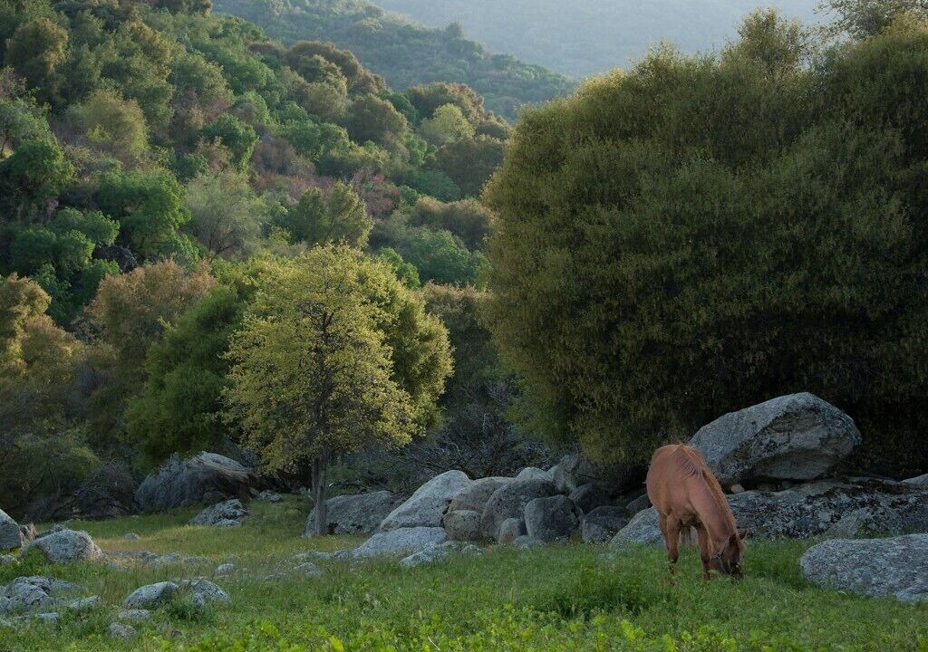 Photo of Others in Three Rivers