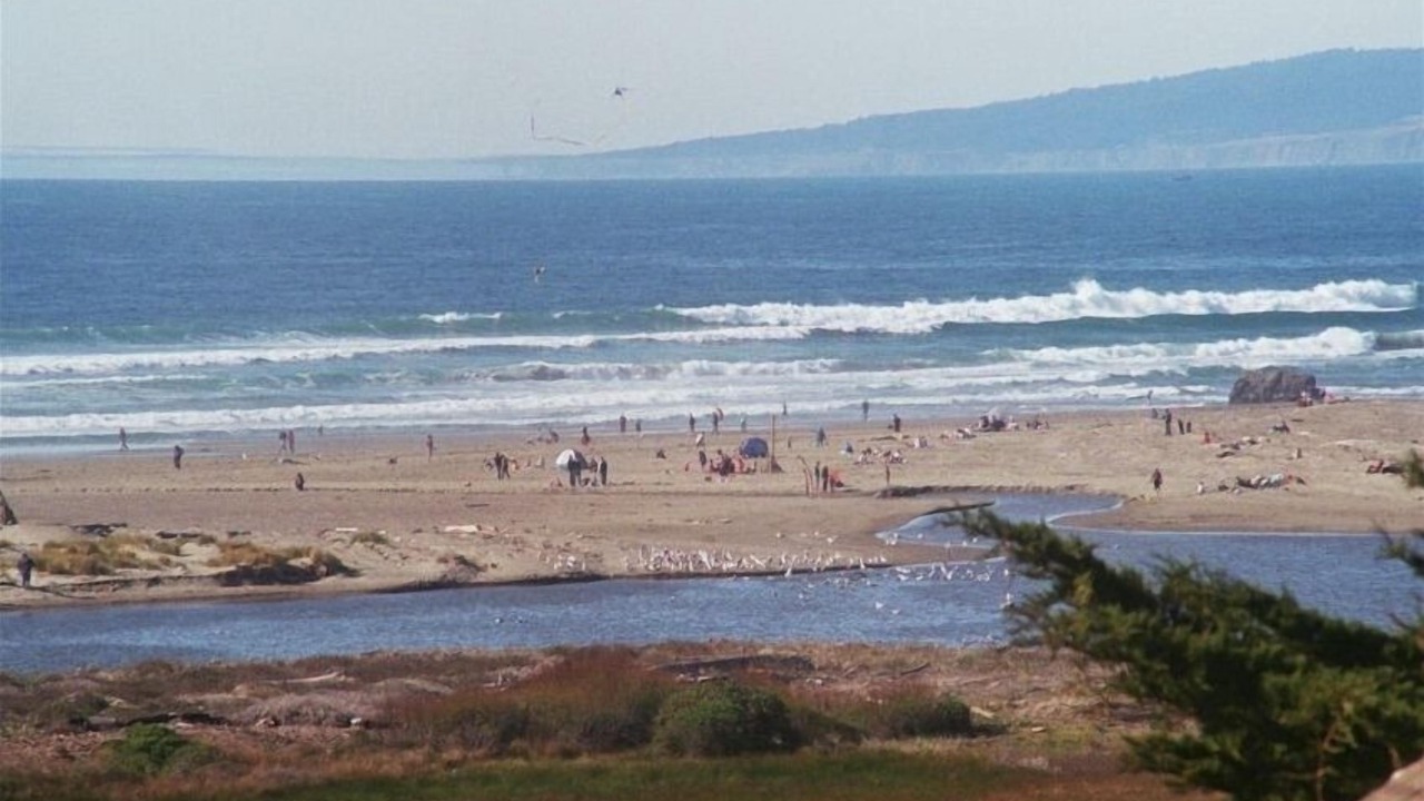 Photo of Others in Salmon Creek