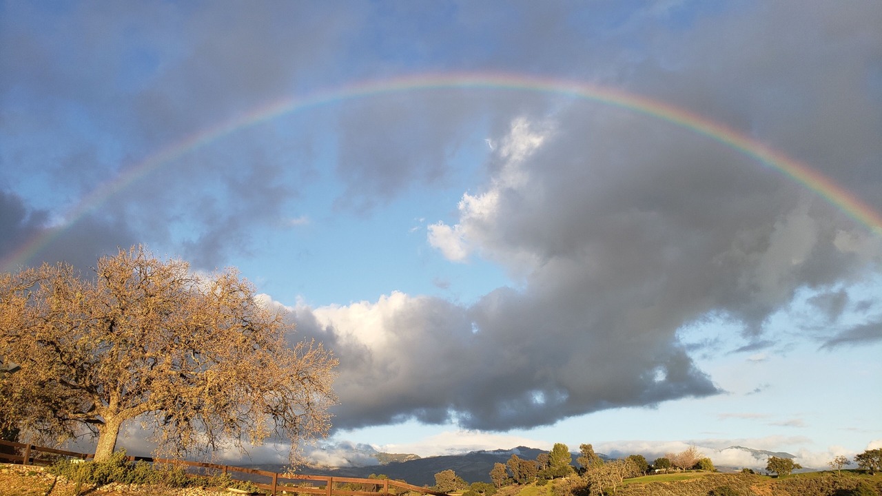 Photo of Others in Santa Ynez