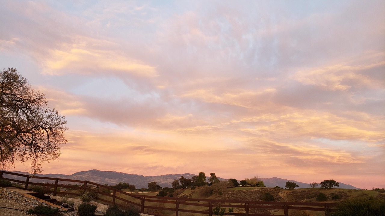 Photo of Others in Santa Ynez