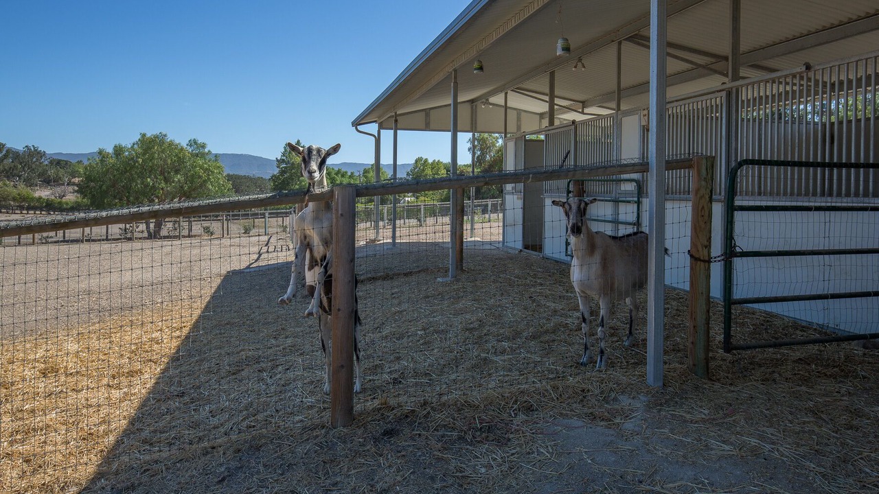 Photo of Others in Santa Ynez
