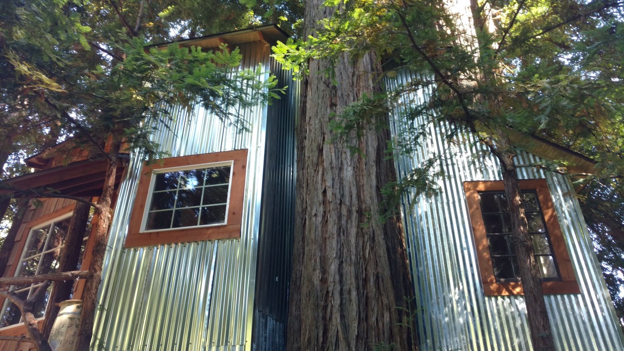 Photo of Outdoor in Los Gatos