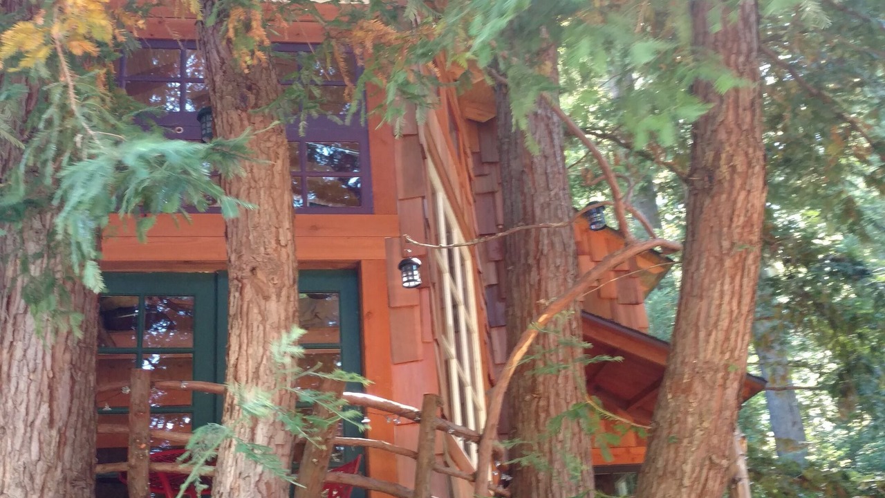 Photo of Others in Los Gatos