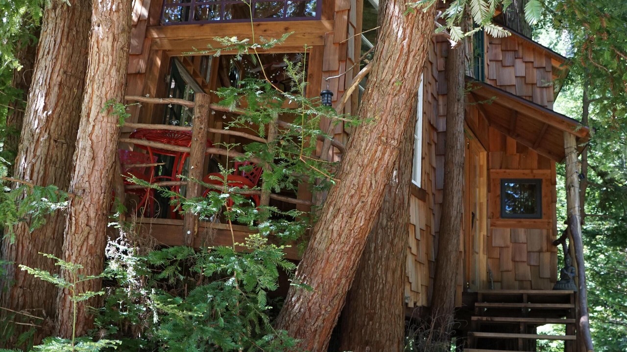 Photo of Outdoor in Los Gatos
