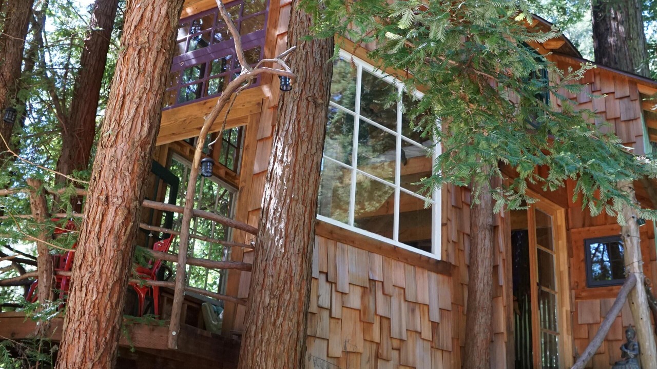 Photo of Outdoor in Los Gatos