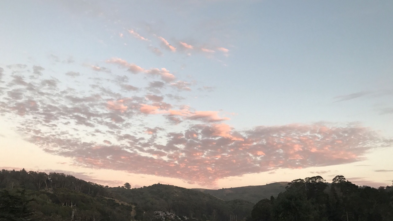 Photo of Others in Tamalpais-Homestead Valley