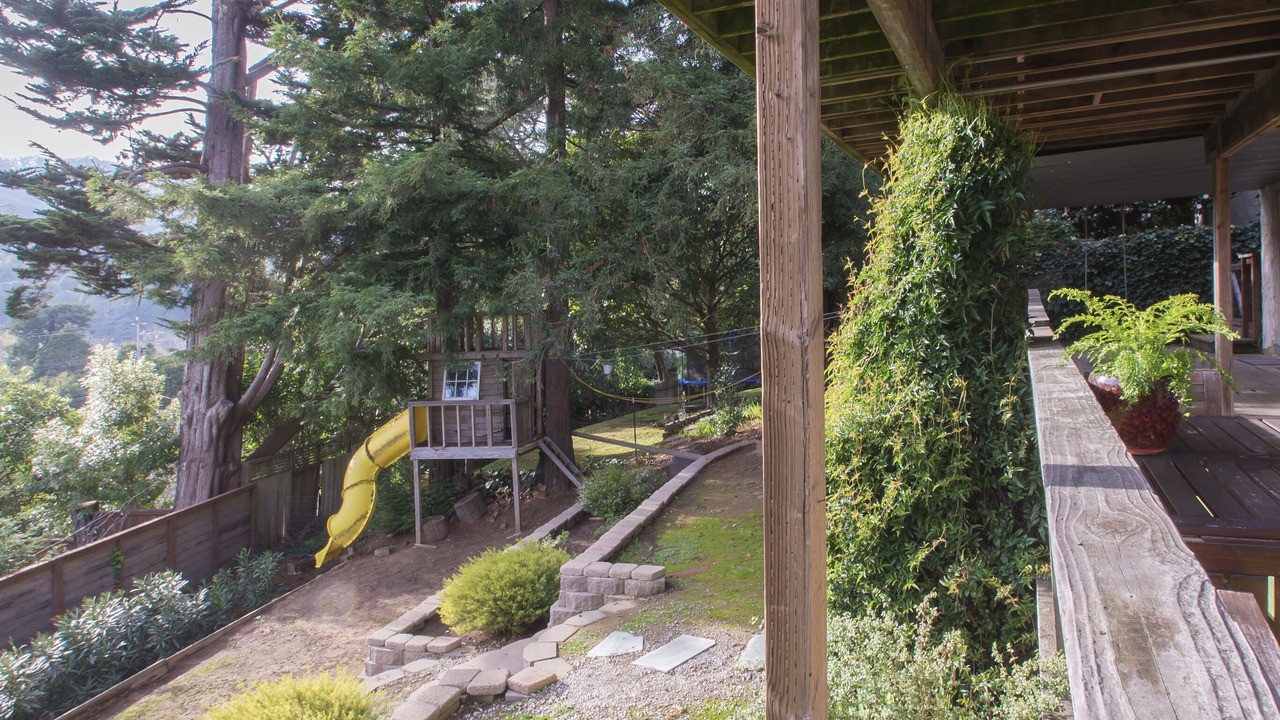 Photo of Others in Tamalpais-Homestead Valley