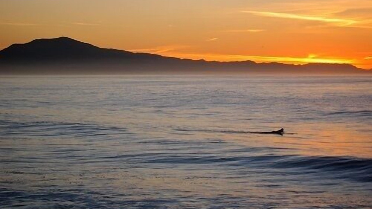 Photo of Others in Summerland