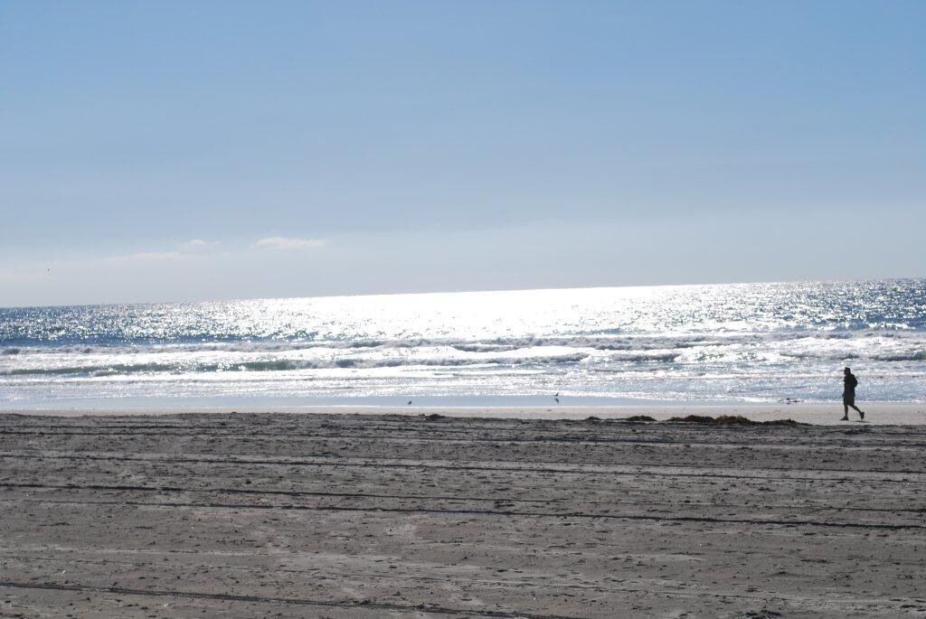 Photo of Others in Central Mission Beach
