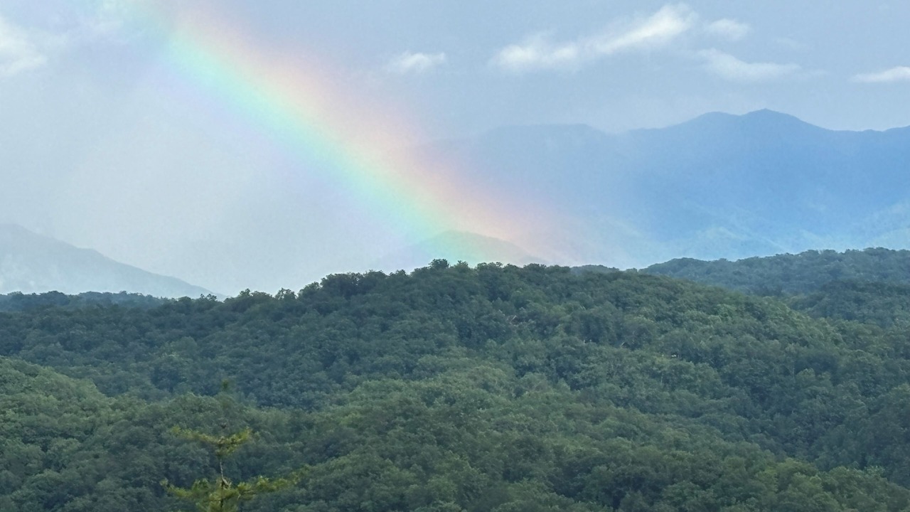 Photo of Others in Sevierville
