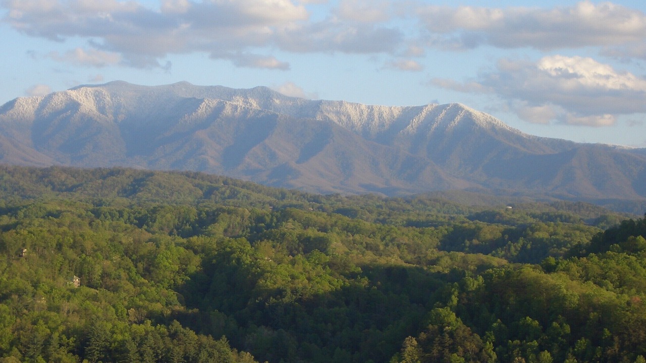 Photo of Others in Sevierville