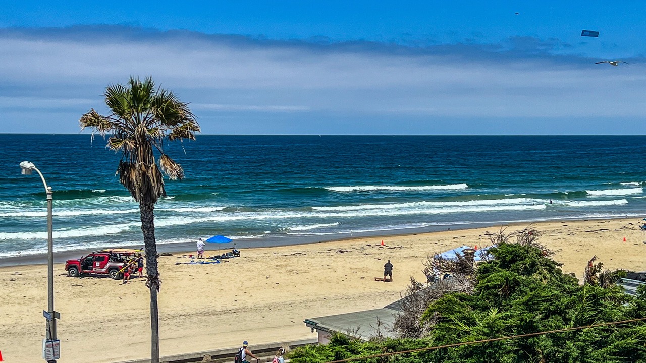 Photo of Others in Central Mission Beach