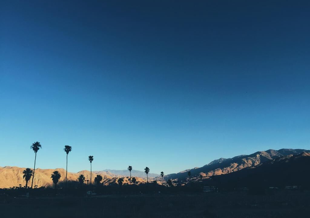 Photo of Others in Twin Palms