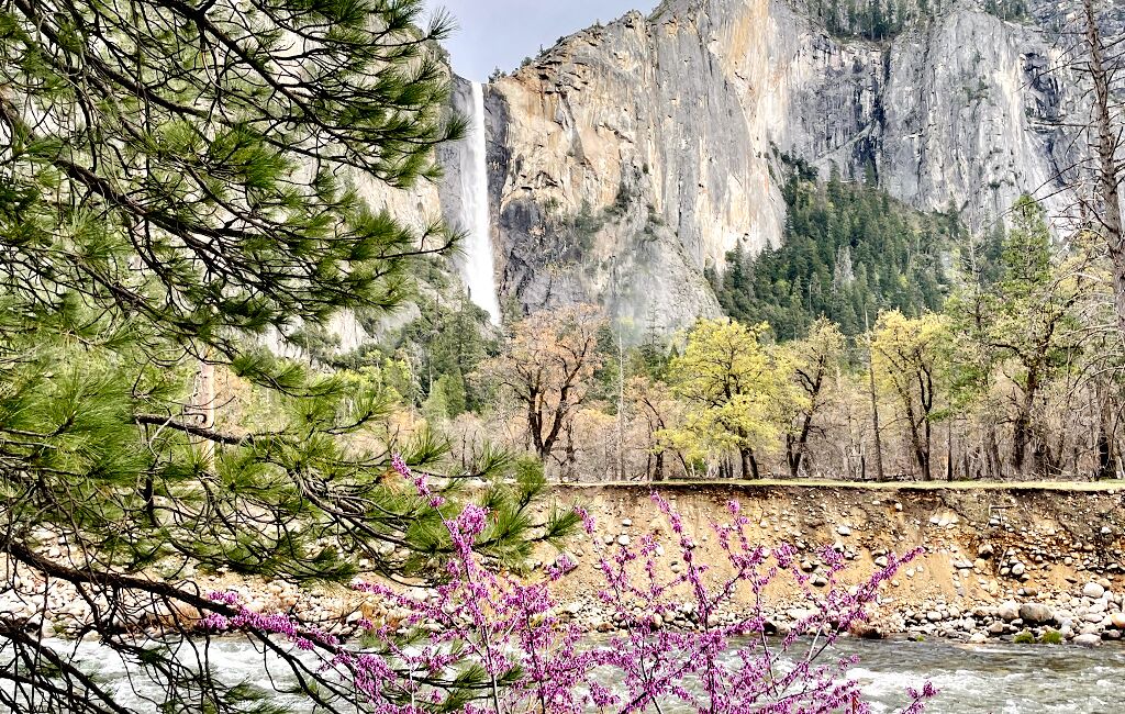 Photo of Others in Yosemite West