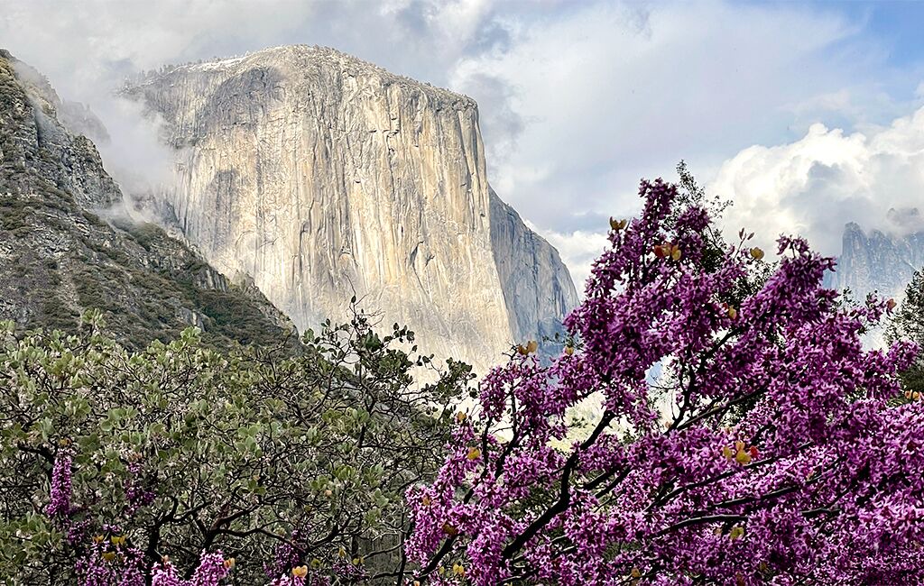 Photo of Others in Yosemite West