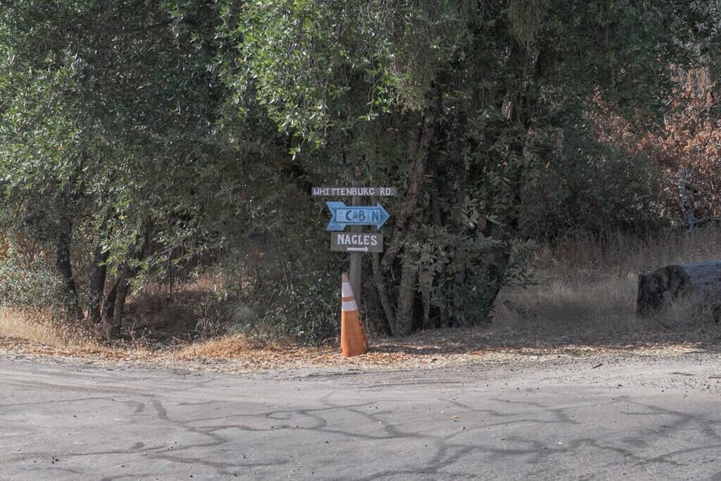 Photo of Others in Yosemite Forks