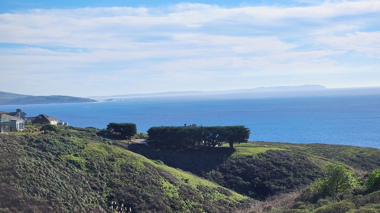 Photo of Others in Bodega Bay