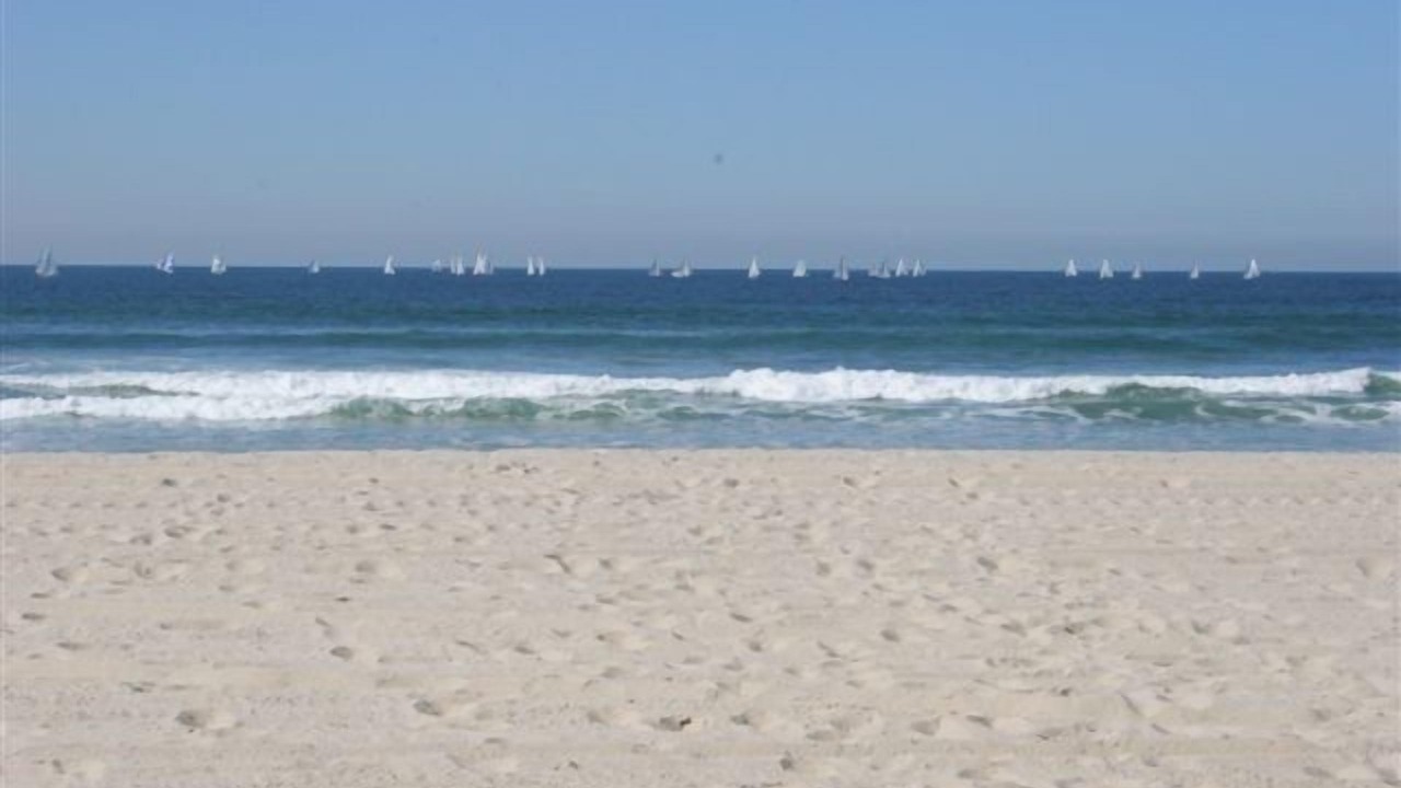 Photo of Others in South Mission Beach