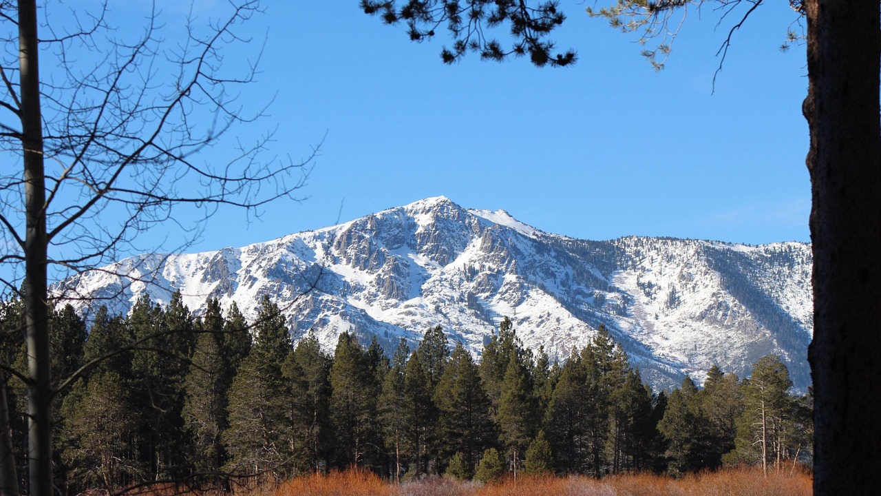 Photo of Others in Al Tahoe
