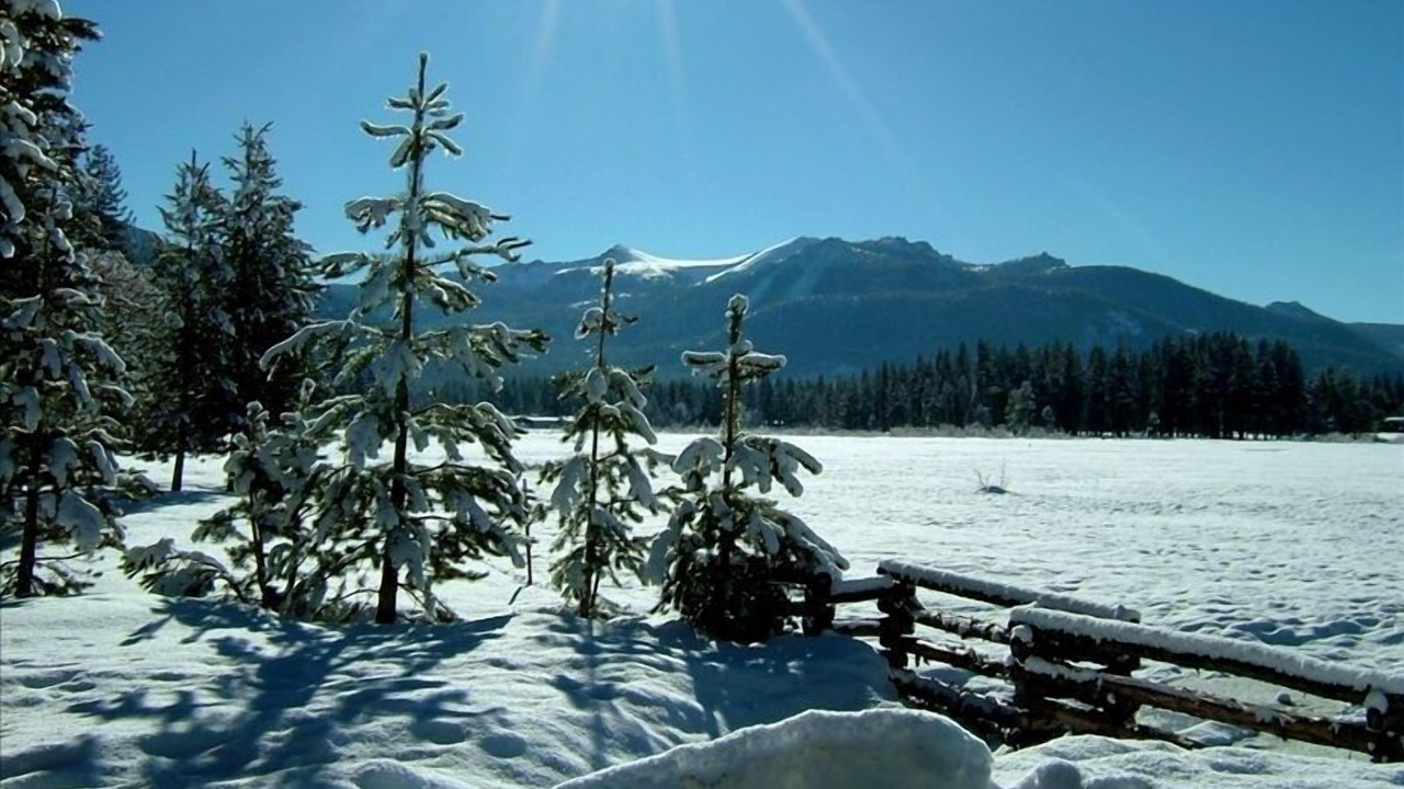 Photo of Others in Al Tahoe