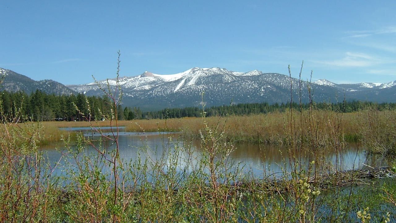 Photo of Others in Al Tahoe