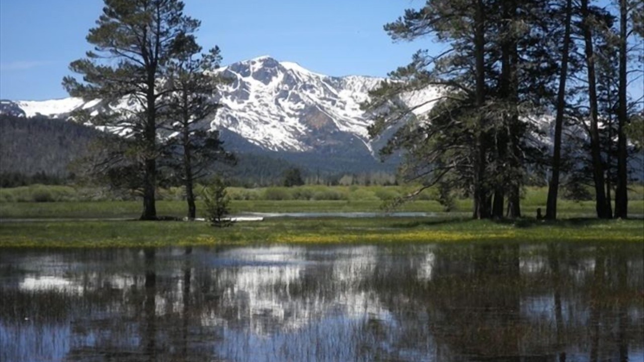 Photo of Outdoor in Al Tahoe