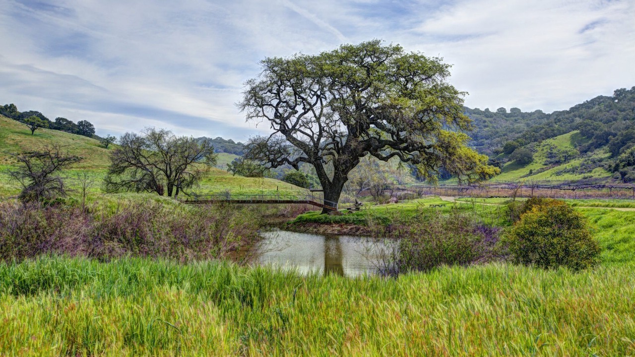 Photo of Others in Santa Barbara County