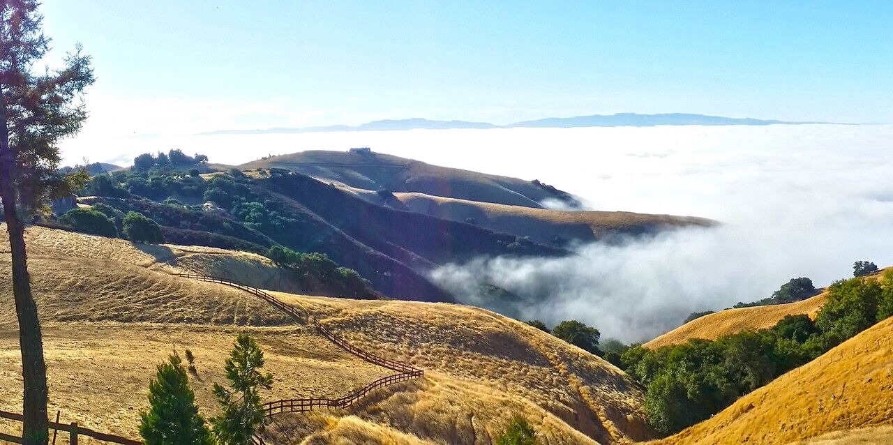 Photo of Others in Livermore