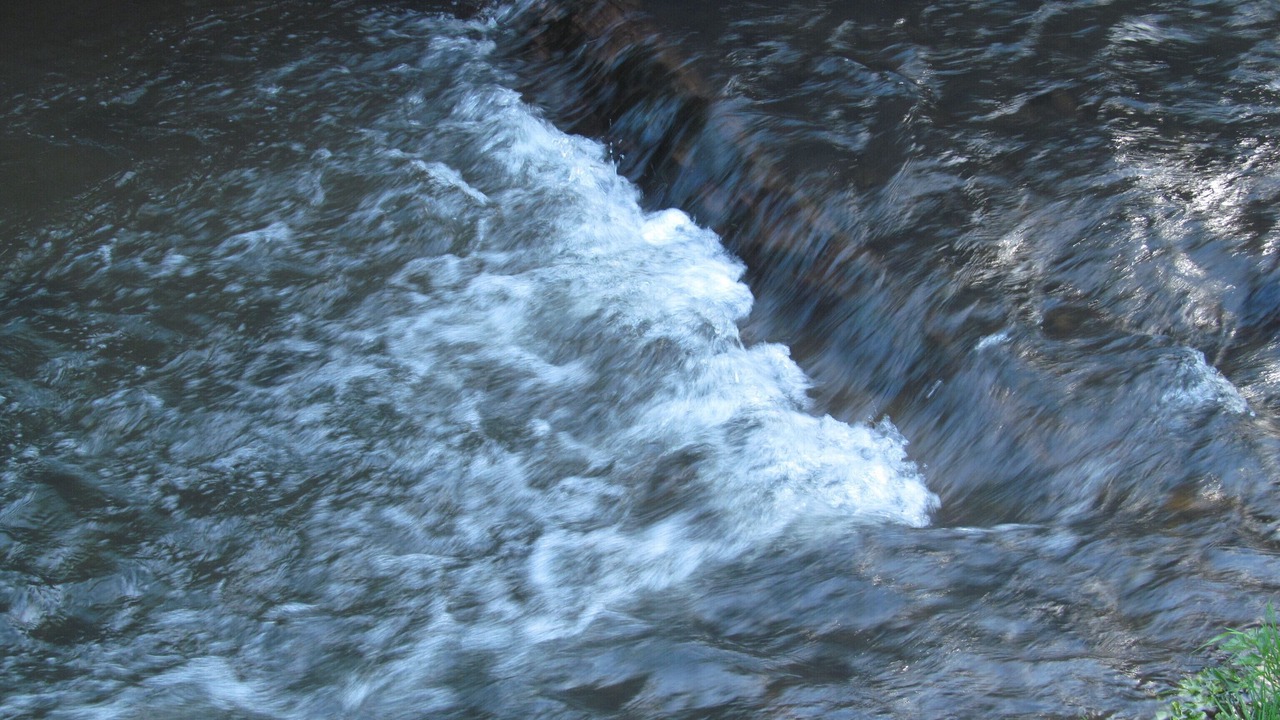 Photo of Others in Mount Shasta