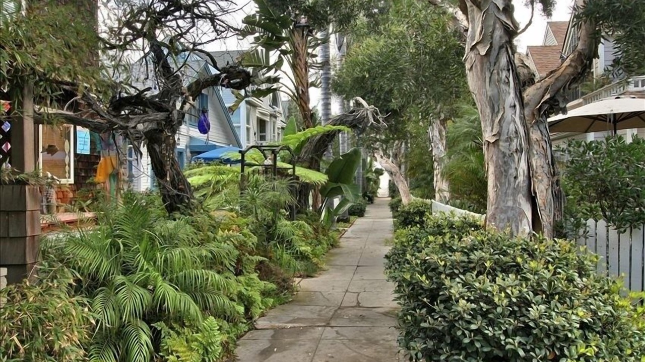 Photo of Outdoor in Central Mission Beach