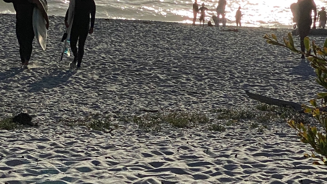 Photo of Others in Northeast Carmel