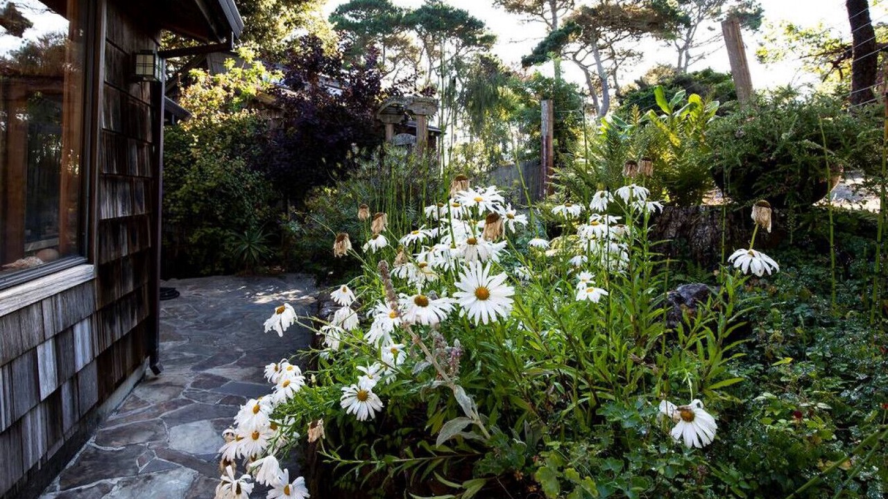 Photo of Outdoor in Inverness