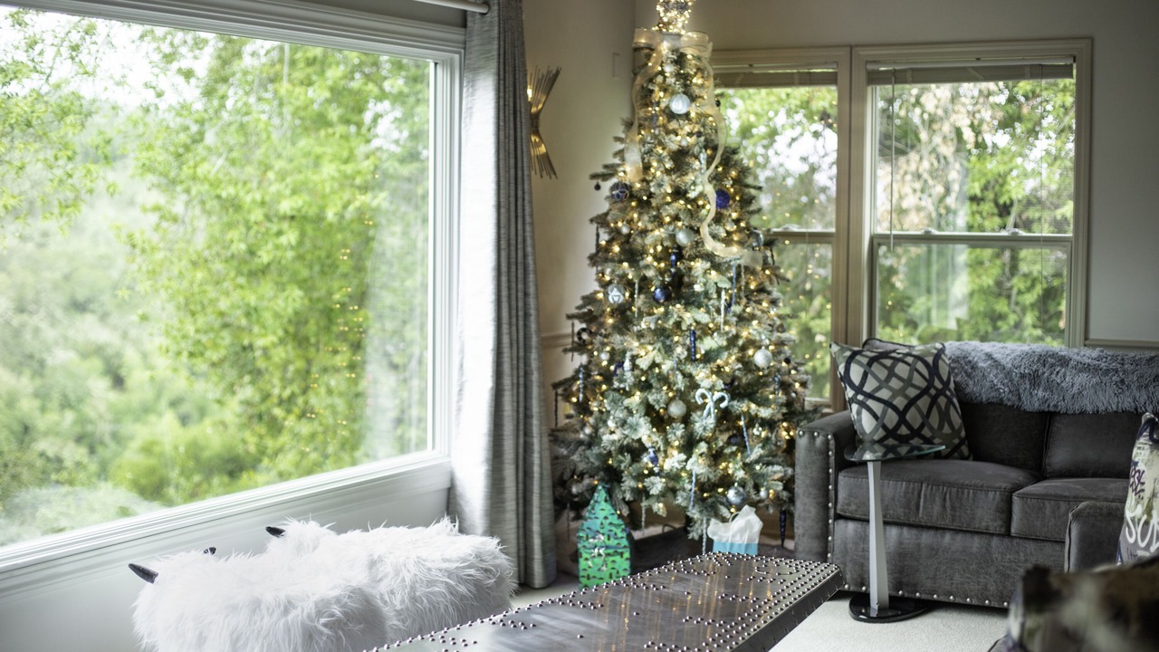 Photo of Livingroom in Healdsburg