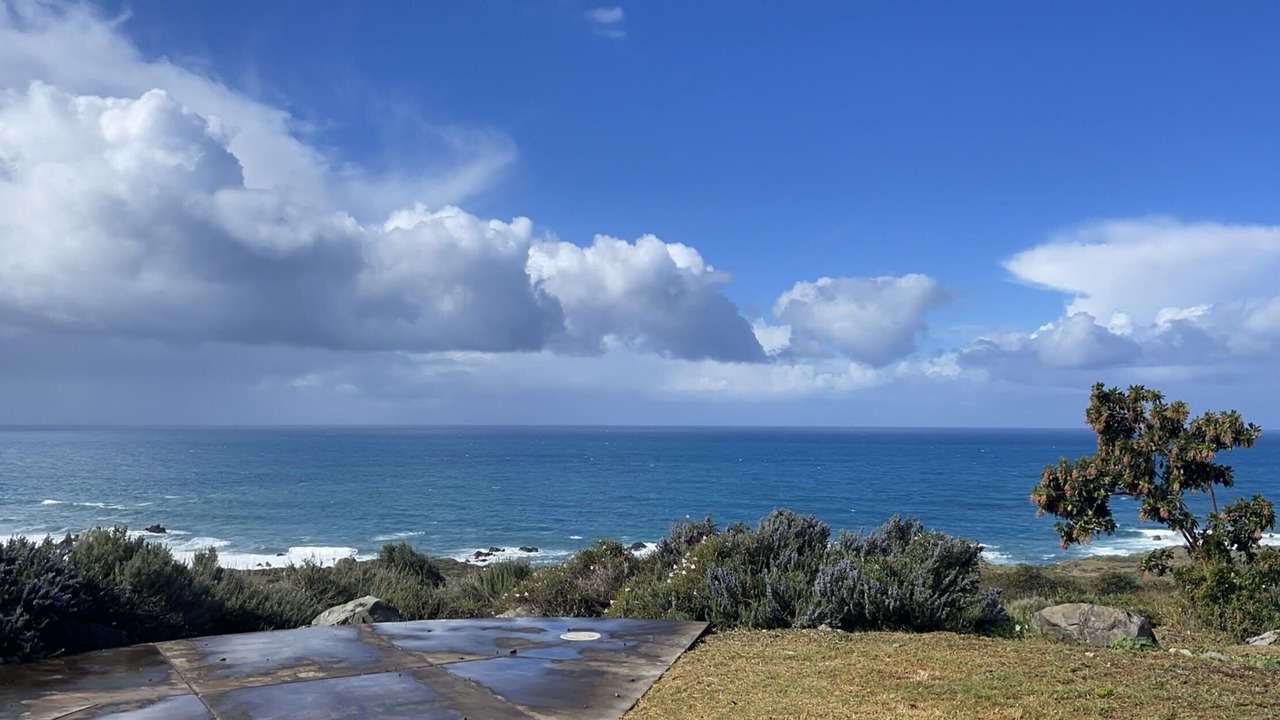 Photo of Others in Big Sur