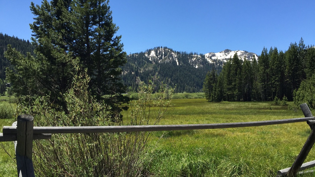 Photo of Others in Olympic Valley
