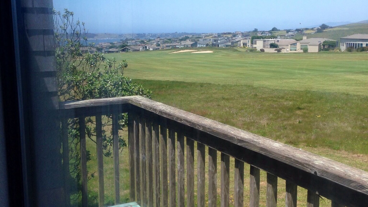 Photo of Others in Bodega Bay