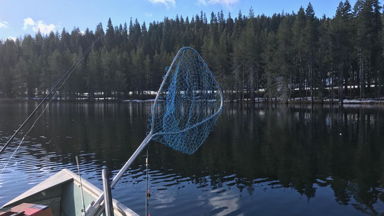 Photo of Others in Bucks Lake