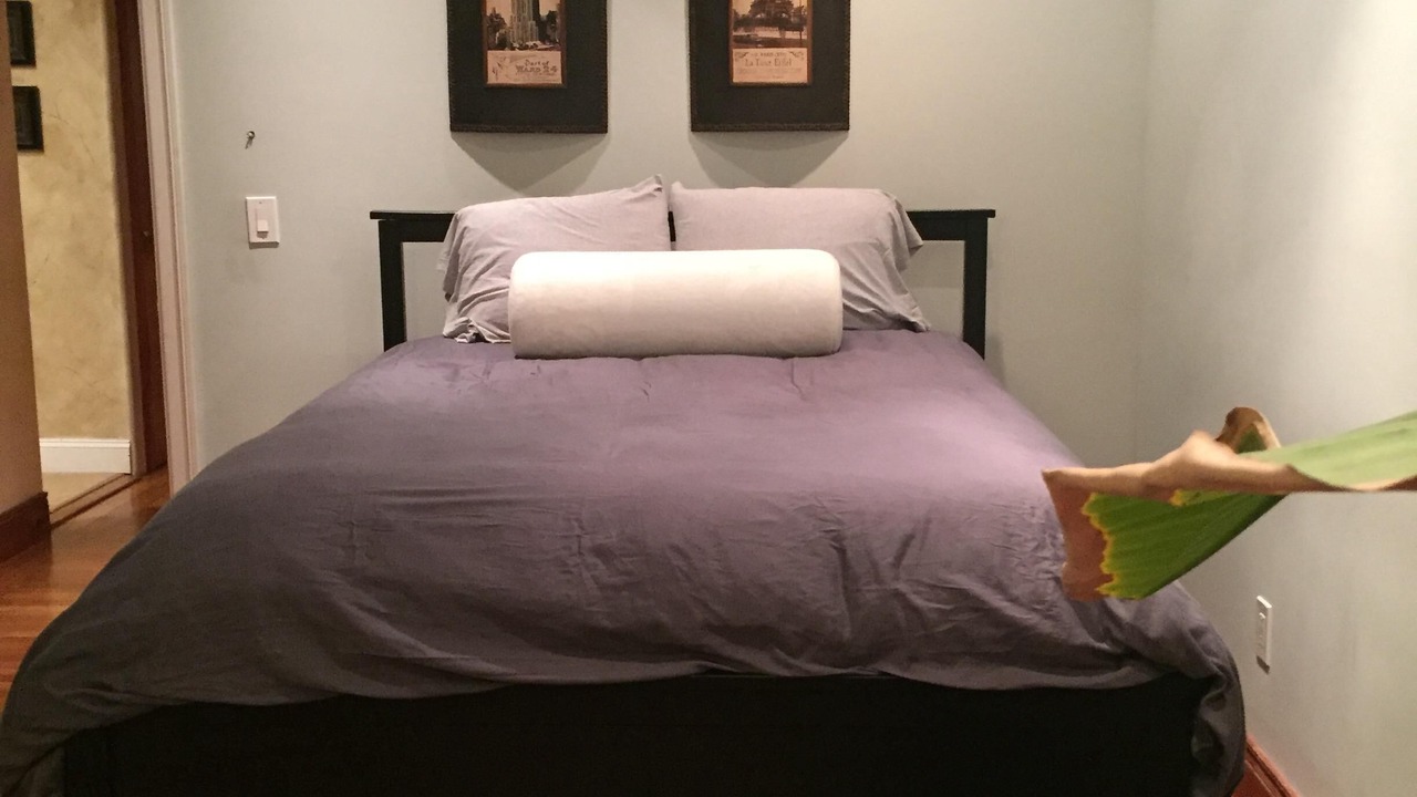 Photo of Bedroom in Mission Terrace