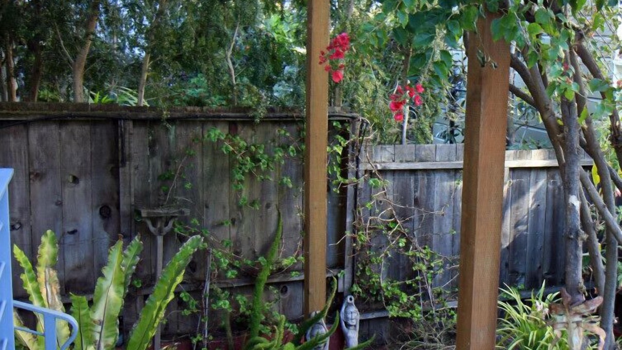 Photo of Outdoor in Noe Valley