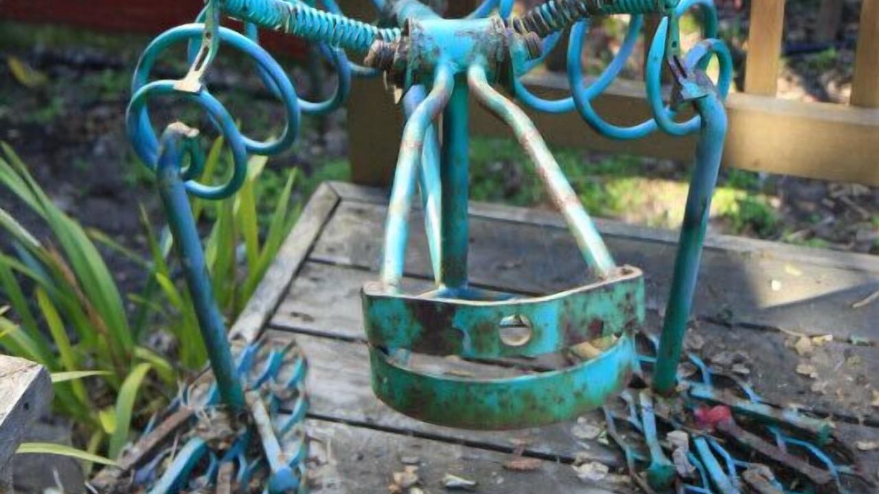 Photo of Outdoor in Noe Valley