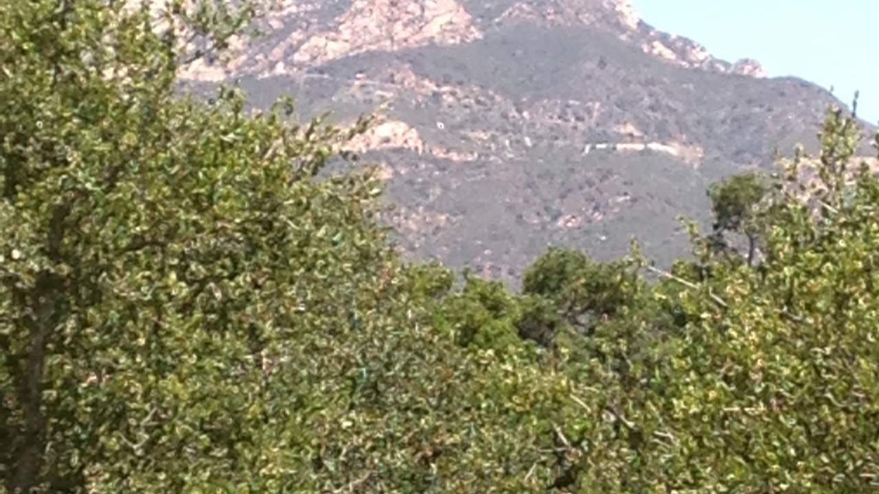 Photo of Others in Mission Canyon