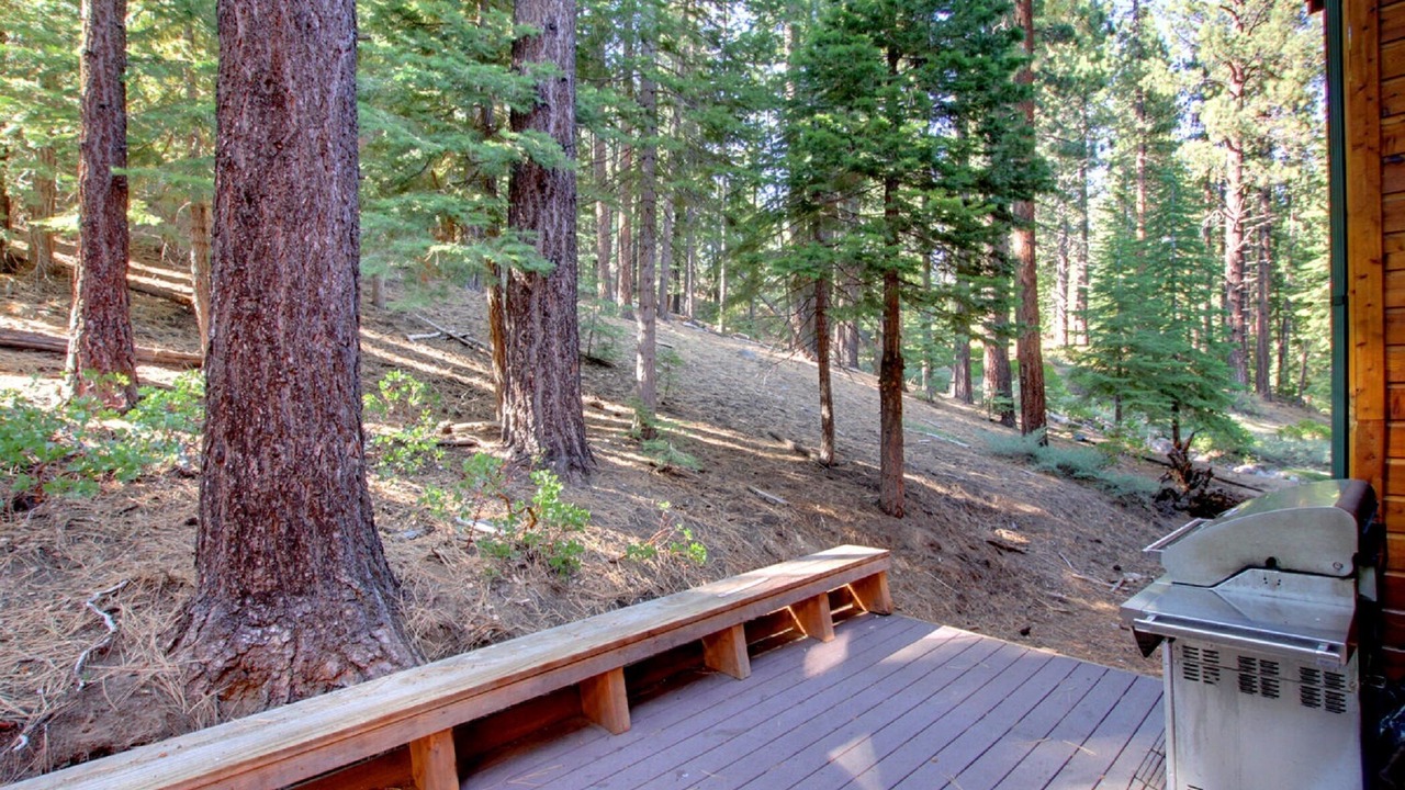 Photo of Outdoor in Pioneer Trail