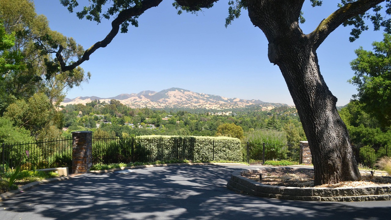 Photo of Others in Moraga Blvd