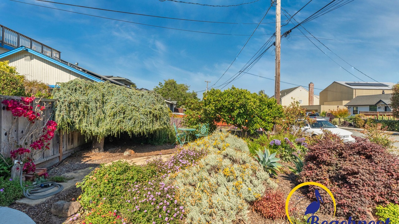 Photo of Outdoor in Westside Santa Cruz