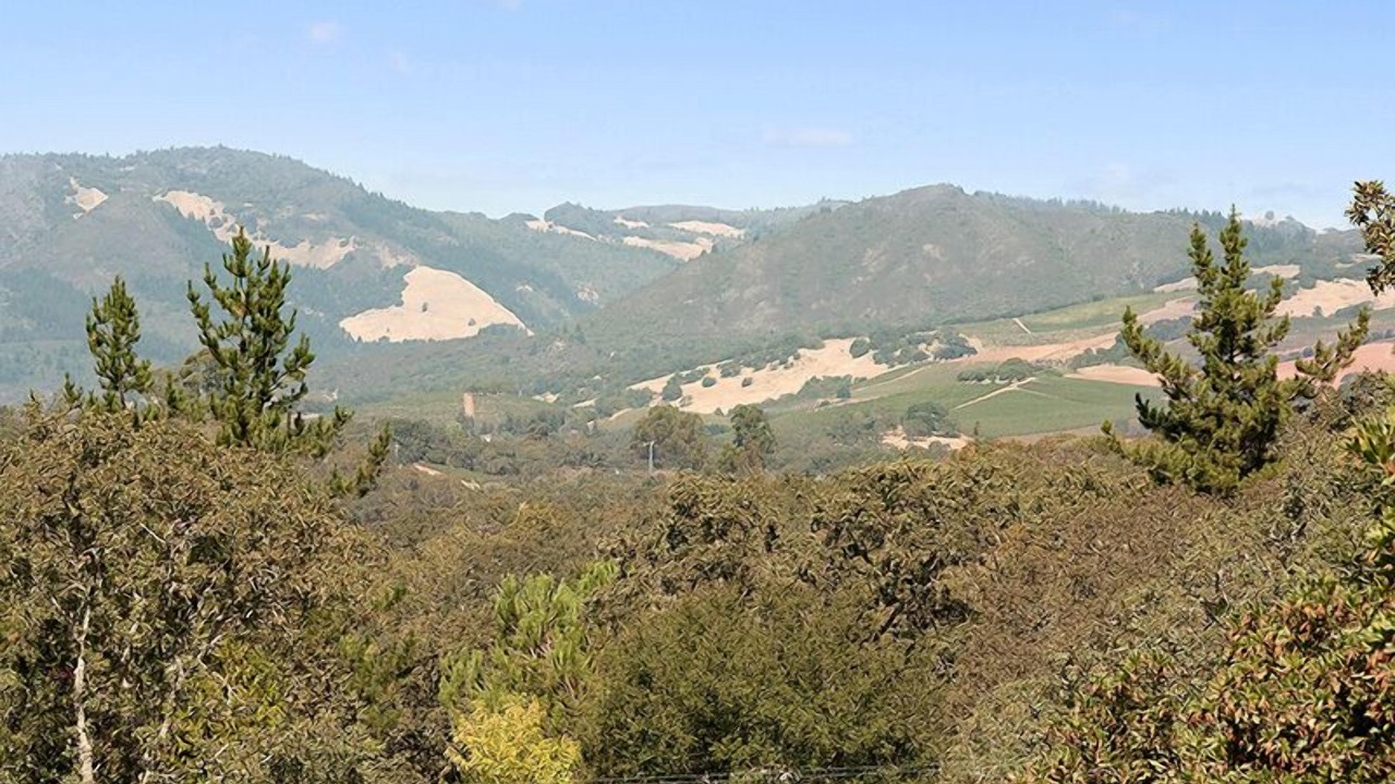 Photo of Others in Glen Ellen