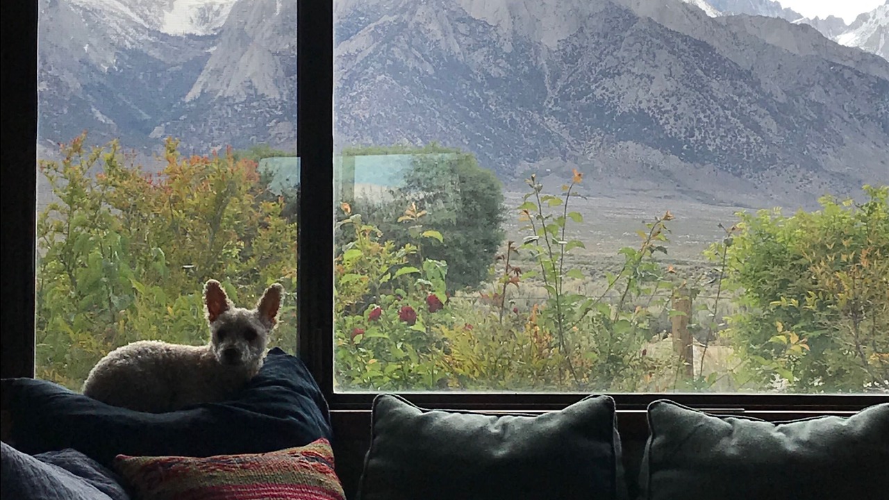 Photo of Others in Lone Pine