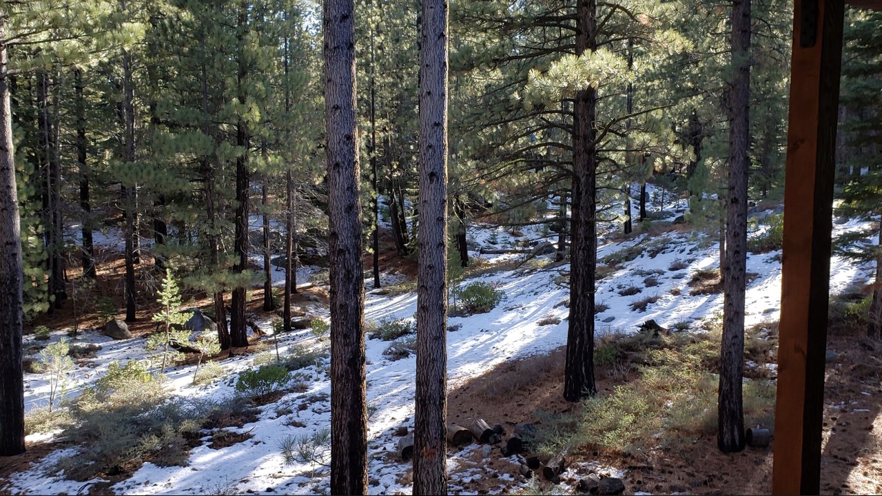 Photo of Others in North Upper Truckee