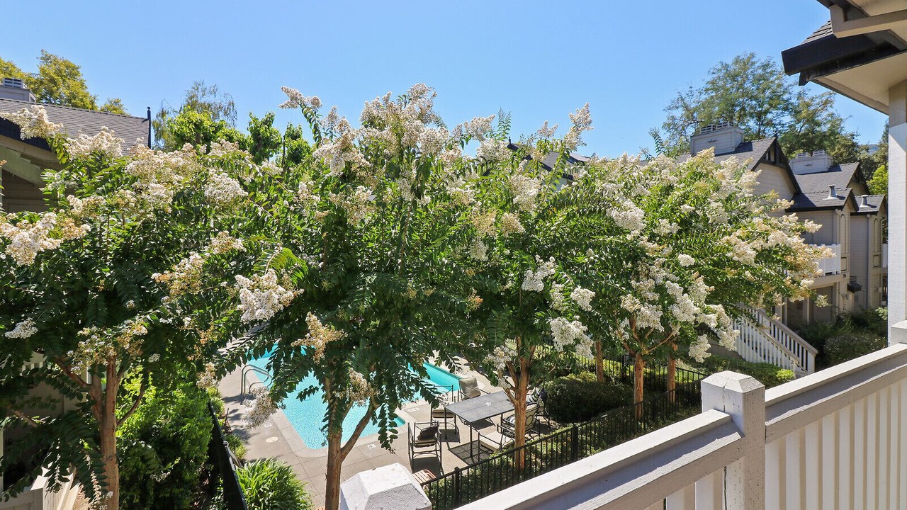 Photo of Outdoor in Alamo
