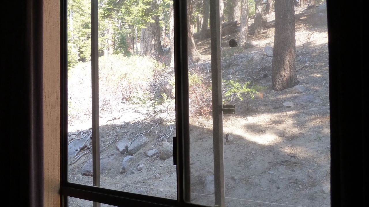 Photo of Others in Majestic Pines